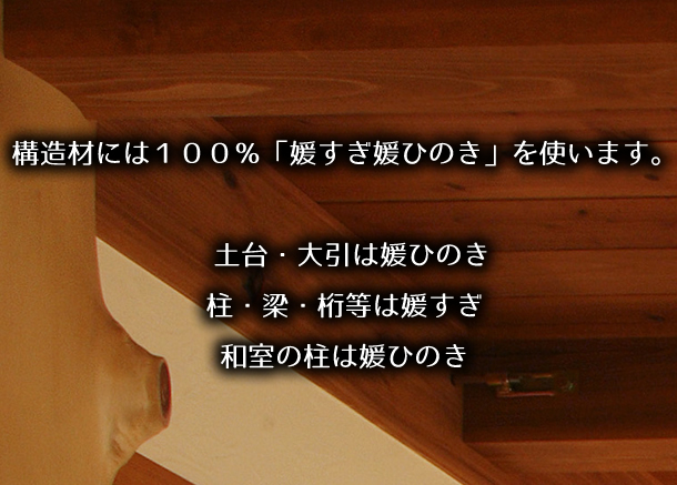 愛媛県のヒノキの生産量は日本トップクラスです。  